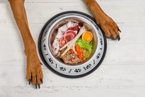 raw-dog-food