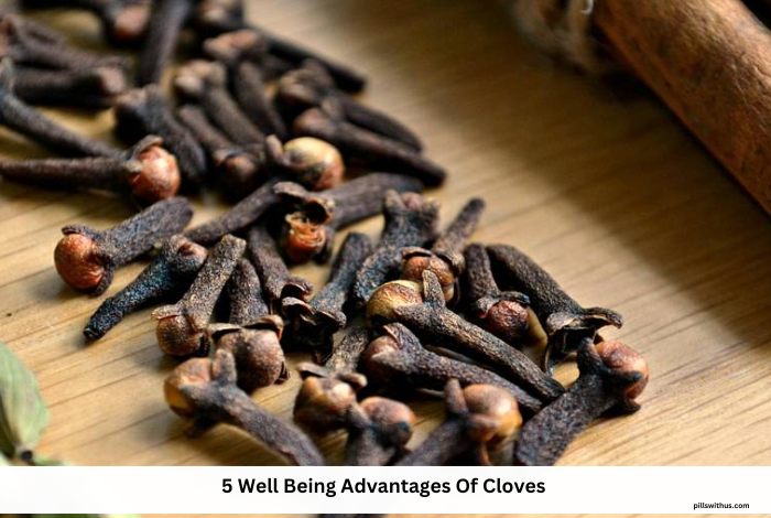 5 Well Being Advantages Of Cloves
