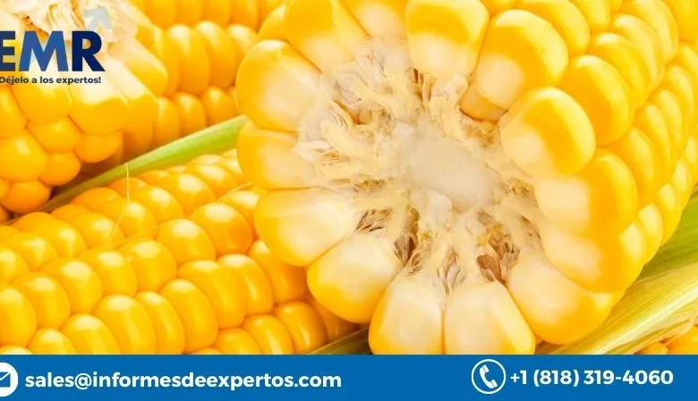 Global Corn Market