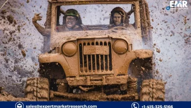 Mud Motors Market 