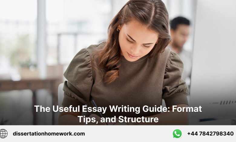 The Useful Essay Writing Guide: Format, Tips, and Structure