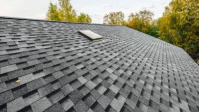 How Often Should I Have My Roofing Inspected