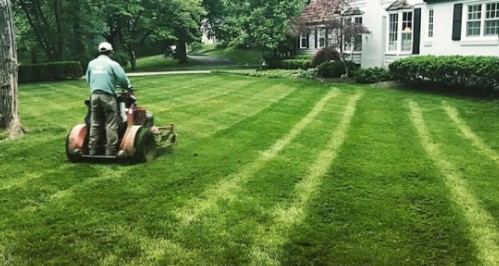 What Are the Benefits of Hiring a Professional Lawn Care Service
